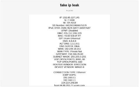 fake ip leak|IP Leak